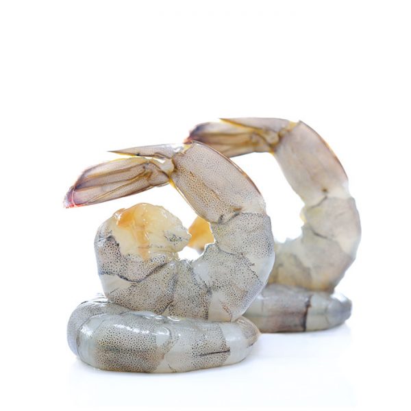 DC SHRIMP 3.0 4パックセット（ばら売り不可） 31/40 Ocean Supreme Shrimp