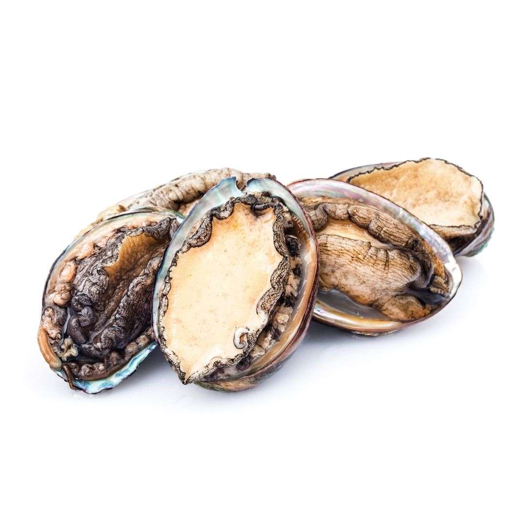 Abalone 55/65 Half Shell|NTFOODS