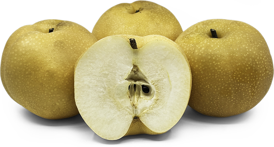 Apple - ゆかじん China Fuji Apple | NTFOODS