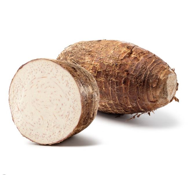 その他 tarou Small Taro